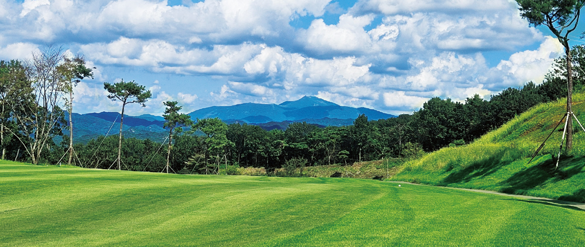 해피니스 퍼블릭